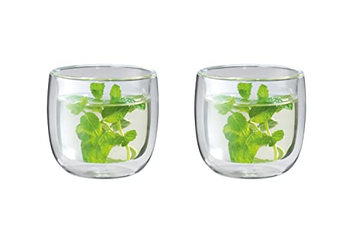 ZWILLING Sorrento 2 Piece Double Wall Teacup Glass Set - Perfect for Iced Coffee, Coffee Mug, Desert Glasses, Smoothie, Thermal Insulated Glassware