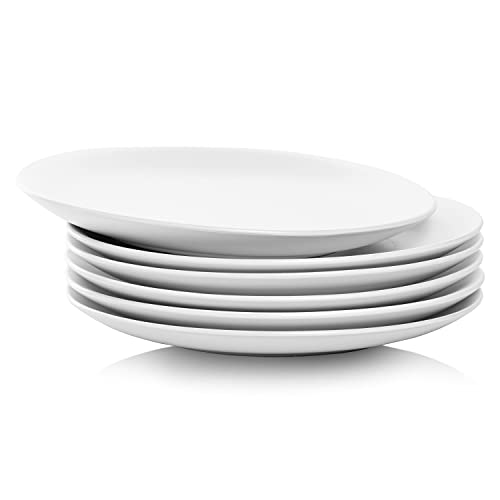 10 Strawberry Street Wazee Matte 10.5" Coupe Dinner Plate, Set of 6, White